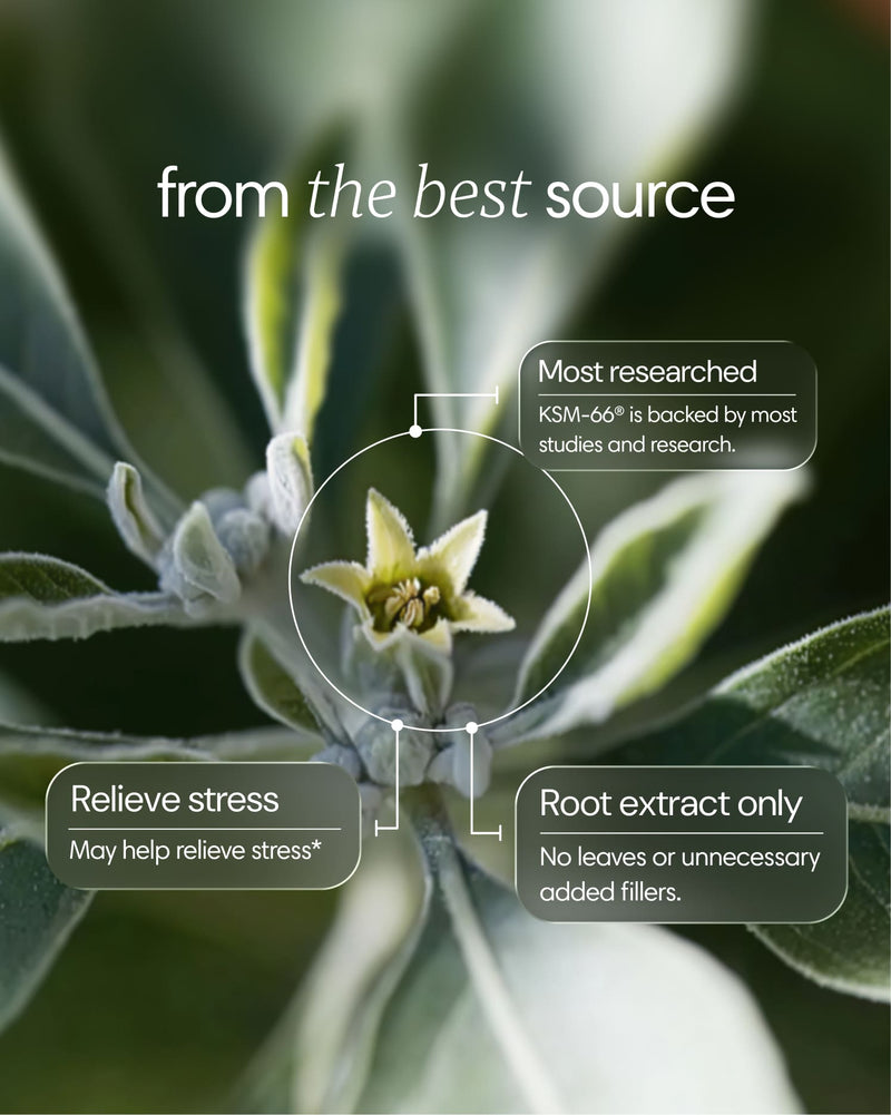 Clearly Ashwagandha capsules with detailed ingredients and health benefits shown in the image.