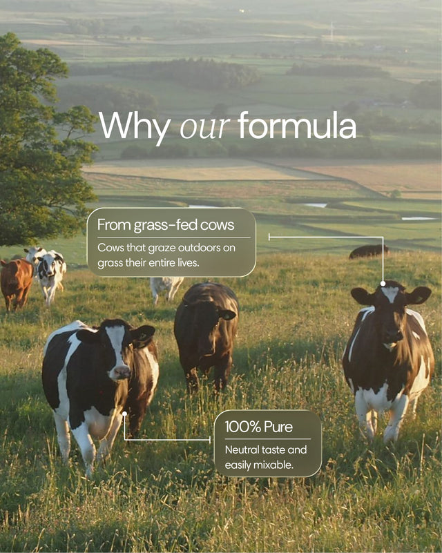 Kolagen (z Pastwiska)