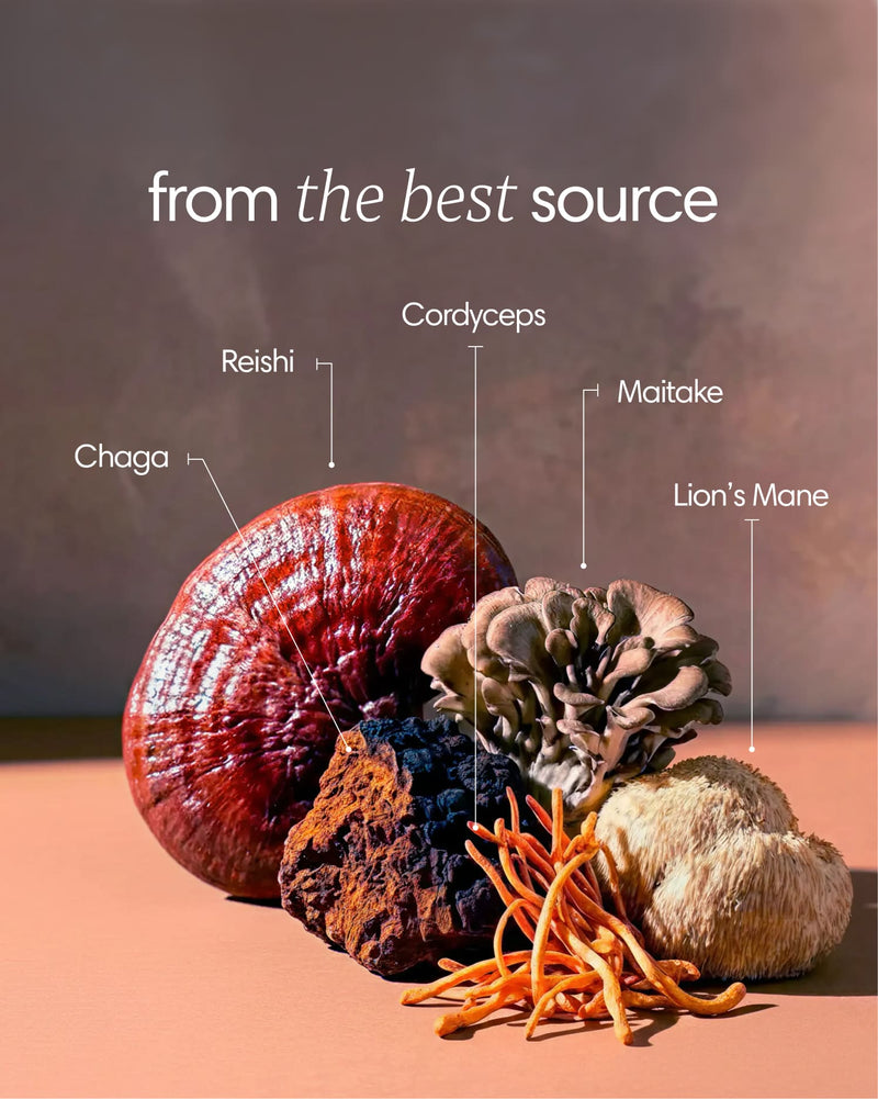 Clearly Mushroom Mix capsules with a blend of various mushroom ingredients in a clear container.