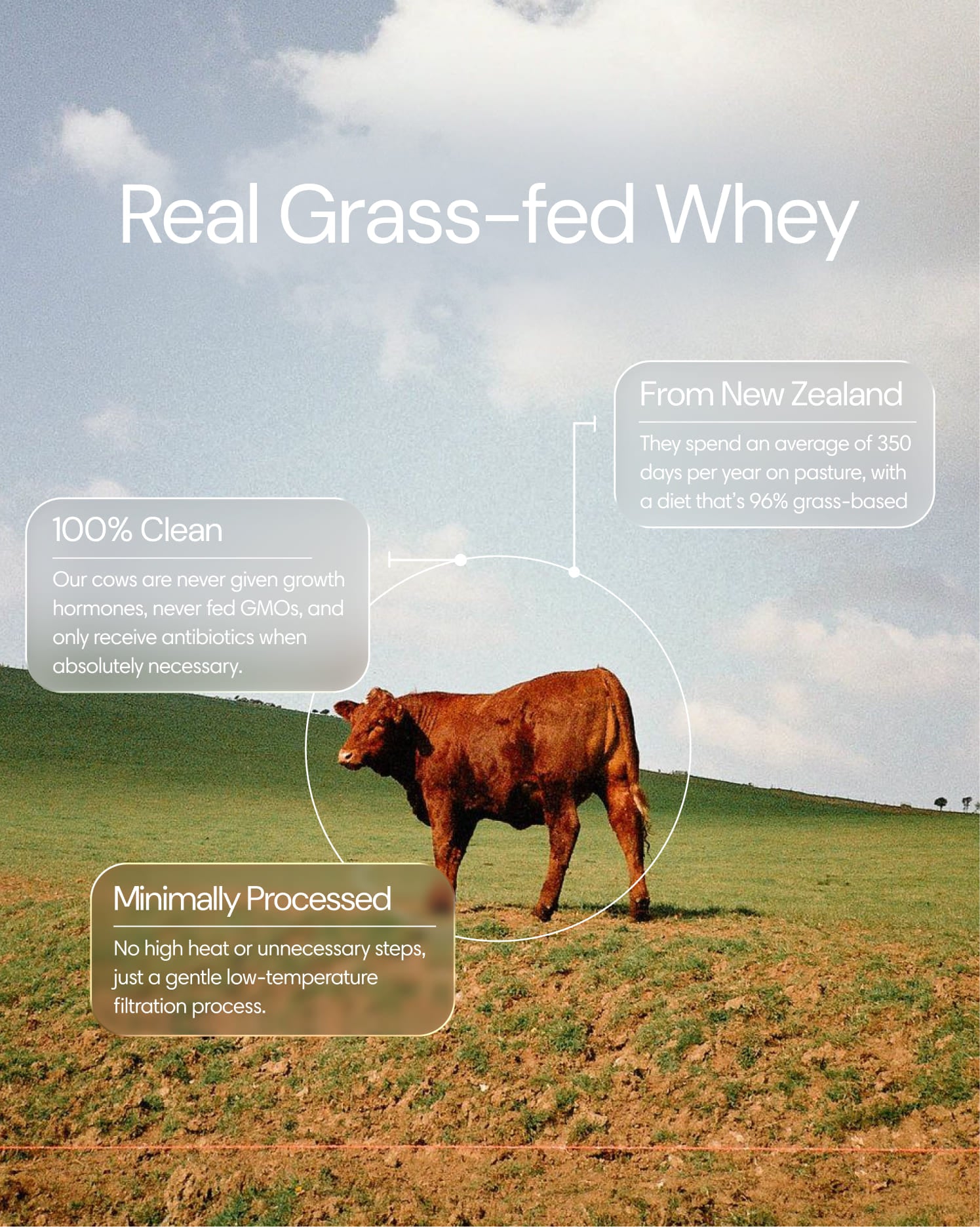  Clearly - Protein Iced Coffee