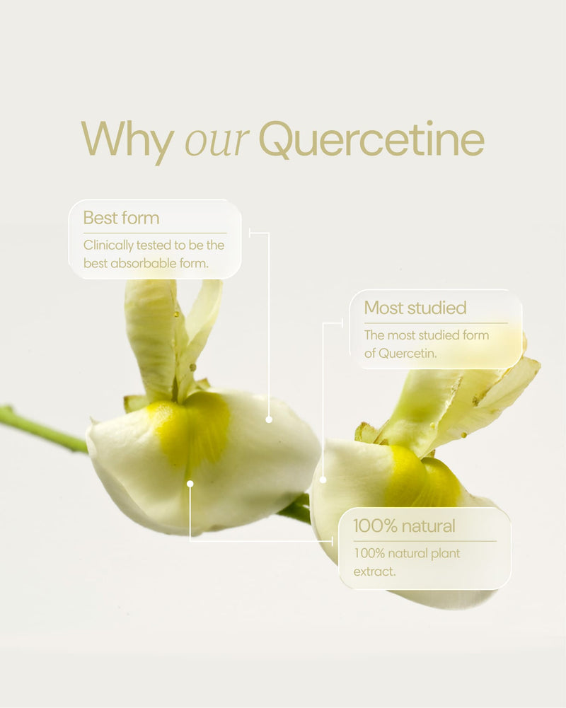 Clearly Quercetine capsules showing the supplement bottle and ingredient label for immune support and antioxidant benefits.